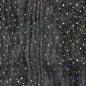 Preview: Softtüll Elsa mit Glitzersternen in Schwarz
